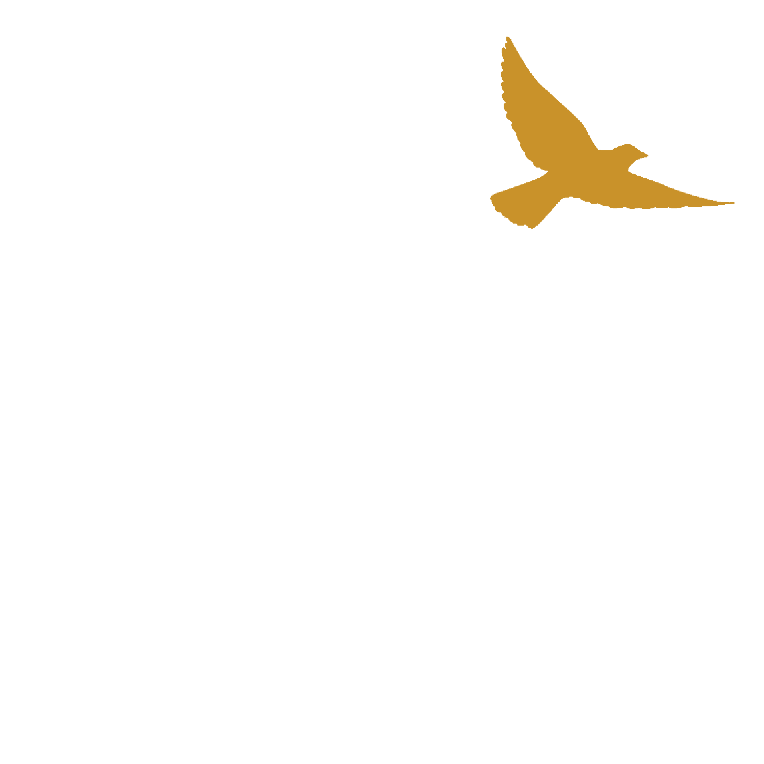 Praxis für Ganzheitliche Medizin Dresden Logo